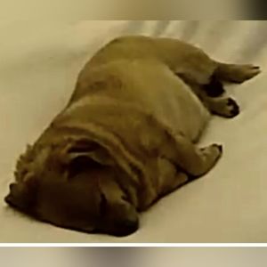 Meet your Posher, Jay